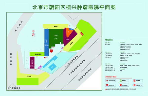 www大鸡巴啊啊啊啊北京市朝阳区桓兴肿瘤医院平面图